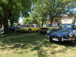 EHB ANLVA PICNIC Isabelle 5 Jul 2025 IMG_6439